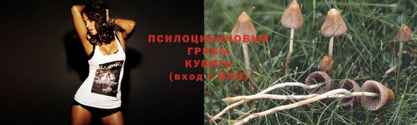 герыч Белоозёрский
