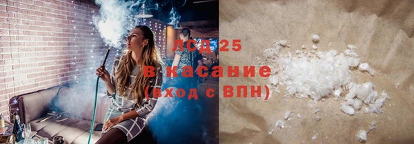спайс Бородино