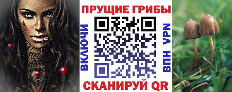 где купить наркоту Бахчисарай гидра рабочий сайт Галлюциногенные грибы ЛСД